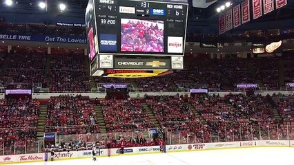 Un enfant acclamé pendant un match de hockey