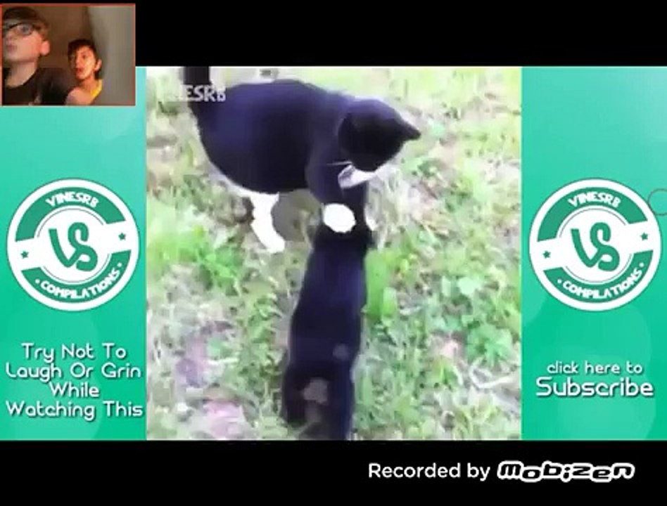 Essayer de ne pas rire (sourire )