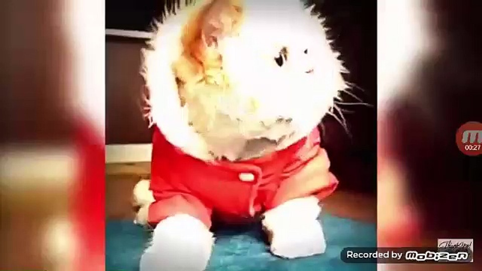 Essayer De Ne Pas Rire Special Chat Video Dailymotion