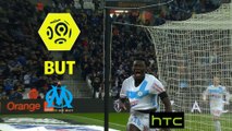 But Bafetimbi GOMIS (56ème) / Olympique de Marseille - LOSC - (2-0) - (OM-LOSC) / 2016-17