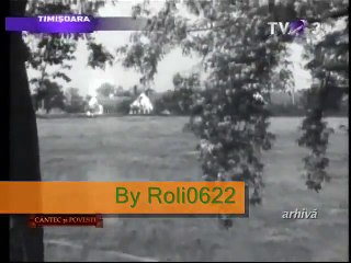 Aurelia Suhane Ardeleanu - Dorule floare aleasă - Arhiva