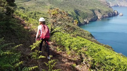 AGSEL 150916    40Mbits