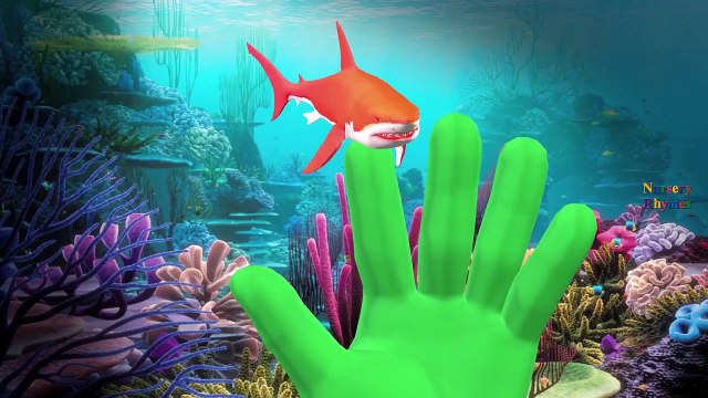 Colours Animals Vs Lion Elephant Gorilla Godzilla Finger Family Nursery Rhymes Collection