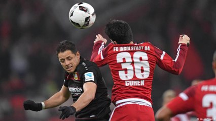 "Roger raus"-Rufe in Leverkusen