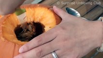 DIY Minions Pumpkin Head UNCUT - How to carve a pumpkin step by step video tutorial