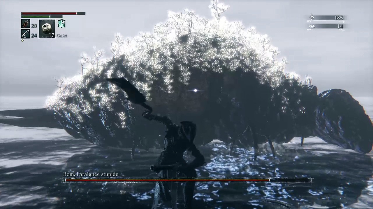 Bloodborne Rom Vacuous Spider