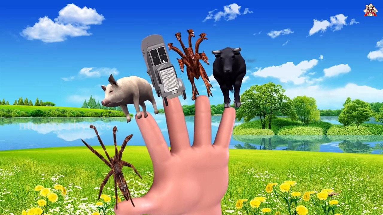 Finger Family || FIRE DRAGON,PIG,BULL Version || Nursery Rhymes and Baby Songs