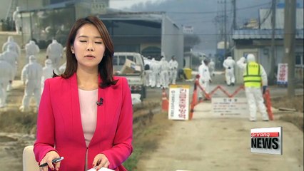 Korea confirms second strain of bird flu at poultry farm