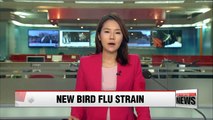 Korea confirms second strain of bird flu at poultry farm