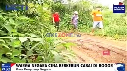 Serbuan Tenaga Kerja Cina Ilegal