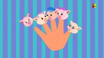 piggy ngón tay gia đình | video giáo dục | vần điệu ươm nhân dân | Finger Family