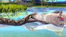 Animals Fighting Video | Crocodile Vs Python Compilation | Crocodile Attacks Python Fight To Death