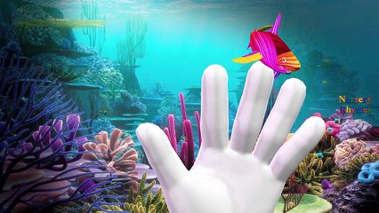 Learn Colors Of The Rainbow Animals Lion Tiger Dinosaurs King Kong Finger Family Rhymes Compilation