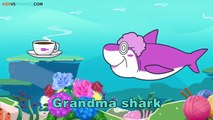 Baby Shark | 2x FASTER | Animal Songs | Kids vs Life Songs for Children