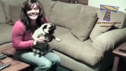 animals funny-relax _2