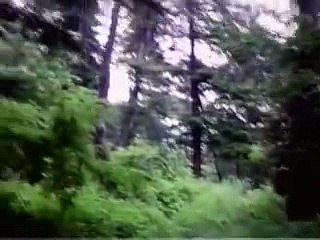 서울카지노う／／ ＧＭ５５４。COM  ／／と실시간카지노