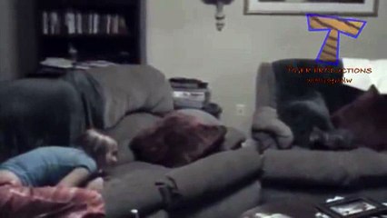 animals funny-relax _12