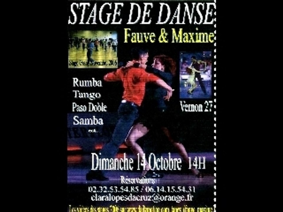 STAGE  FAUVE ET MAXIME A VERNON27