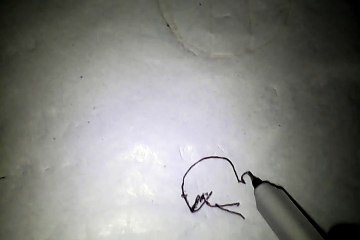 bird my love baby drawing tutorial kids funny