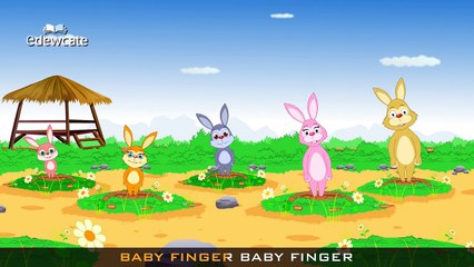 The Finger Family Rabbit (Bunny) Family | Finger Rhymes For Children