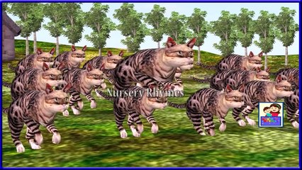 Short Film || Tom & jerry Comedy Show || Funny Animations For children