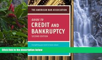 Online American Bar Association American Bar Association Guide to Credit and Bankruptcy, Second