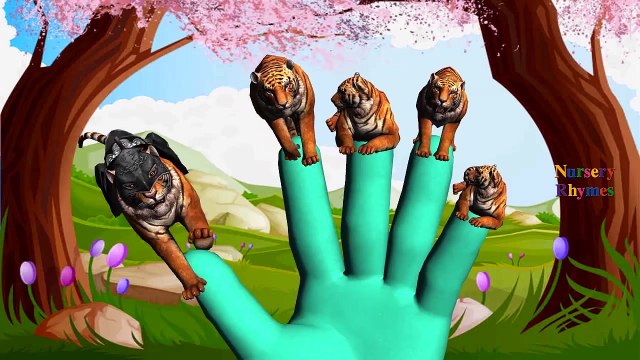 Finger Family Nursery Rhymes for Children Tiger Cartoons | Finger Family Children Nursery Rhymes