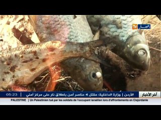 ريبورتاج: صيادو البحار.. أيادي بشرية تخرج شباكا بدون أسماك