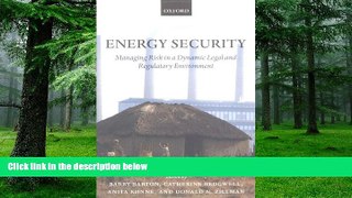 Buy  Energy Security: Managing Risk in a Dynamic Legal and Regulatory Environment   Full Book