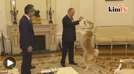 Aksi Putin bawa anjing jumpa dua wartawan Jepun