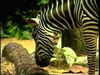 ABC English For Children Vol1 - Part 2