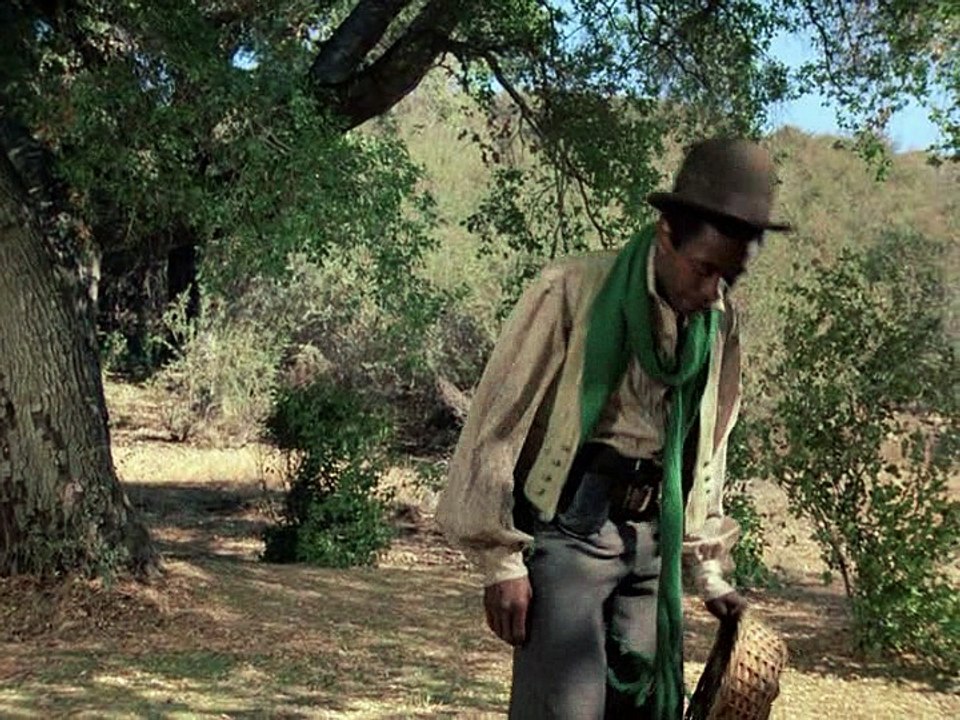 Racines ,Roots.1978.Part.9/12.French.BDRip