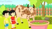 Moo, Moo, Brown Cow | English Nursery Rhymes & Songs For Children | Best Buddies