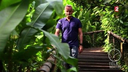 Jardin - À la découverte des bulles géantes