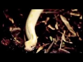 Idayu - Paluan Rindumu - Official Music Video