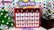 Shopkins Advent Calendar Custom Christmas new December 6th Surprise Egg and Toy Collector SETC