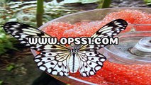 오산오피 / 연신내건마 / OPSS1。COM / 구글 → 오피쓰