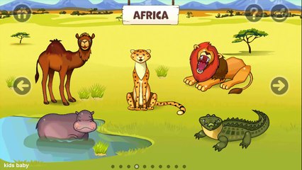 Animals Names and Sounds for kids | English Class Animal Food