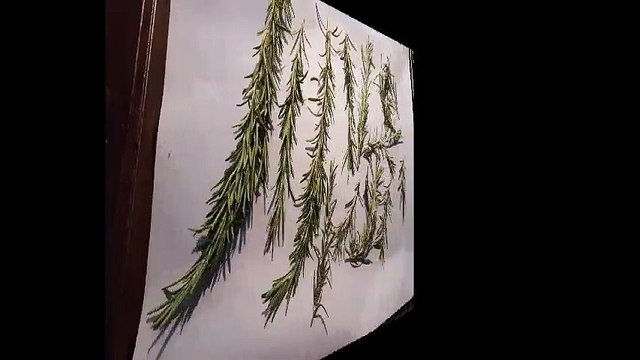 Cool Weed Grinder Set for Herb, Spice & Tobacco including- Large, 4 pieces