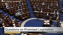 Un député irlandais interrompu en plein discours par sa cravate de Noël