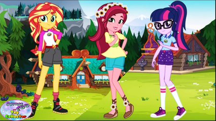 My Little Pony Equestria Girls Transform Gloriosa Daisy Twilight Surprise Egg and Toy Collector SETC