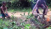 Amazing Children Catch Water Snake And Fish Using Bamboo Net Trap - Catch And Cook