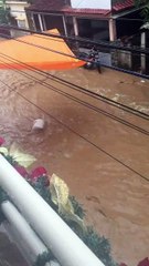 Bairro São Vicente tem ruas alagadas após forte temporal em Colatina