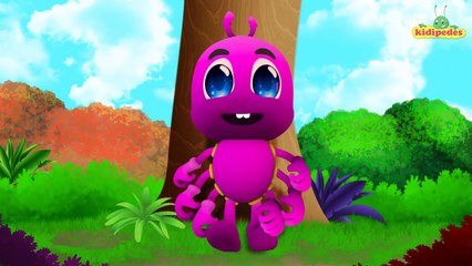 Incy Wincy Spider - 3D Nursery Rhymes Collection I Children Songs