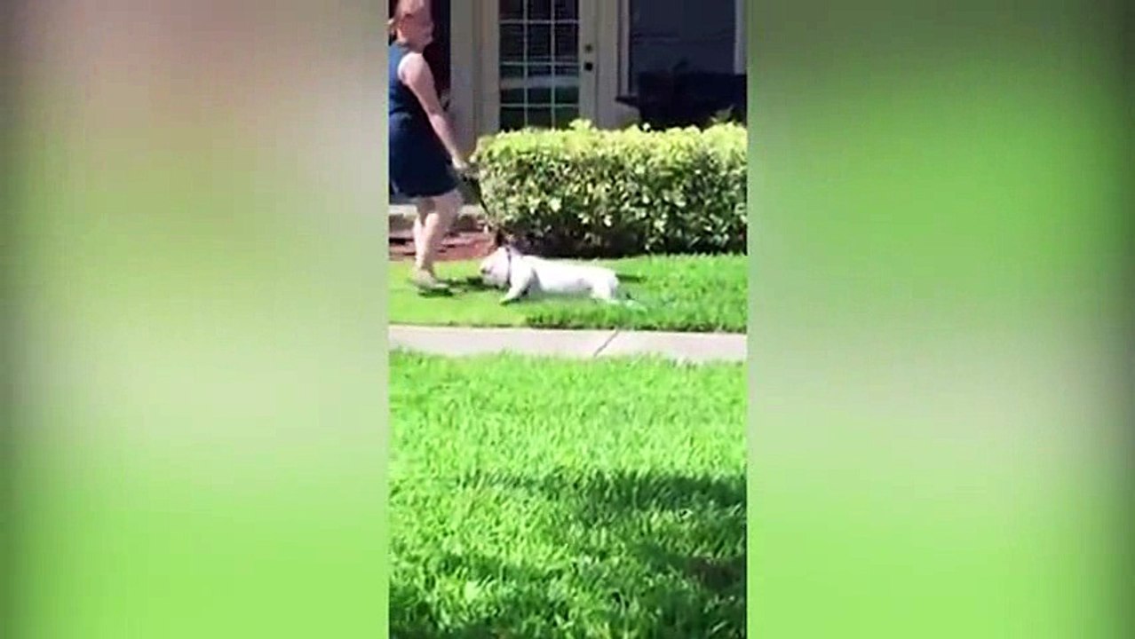 funny videos clips-relax_12