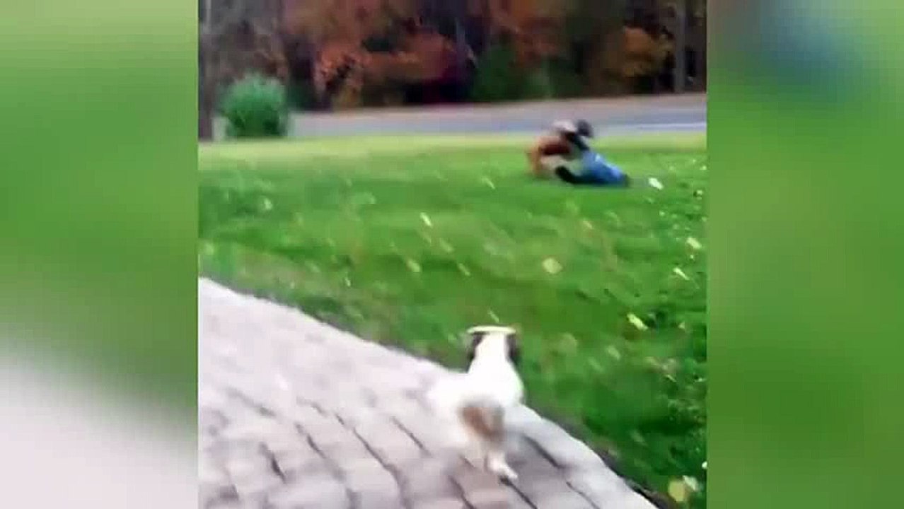 funny videos clips-relax_16