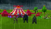 Dinosaurs Cartoons Godzilla And King Kong Singing Rain Rain Go Away Nursery Rhymes For Children