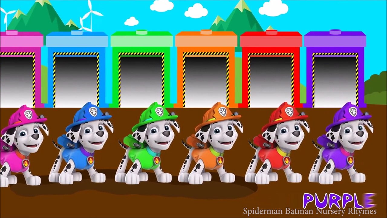 Marshall Paw Patrol Colors For Children To Learn | Learning Colours for Kids with Paw Patrol