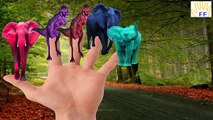 Finger Family Colors Dinosaurs Vs Elephant | Animals for Children | Finger Family Nursery Rhymes