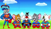 Tom and Jerry Transform Into Superman Finger Family Songs - Tom and Jerry Cartoon Nursery Rhymes